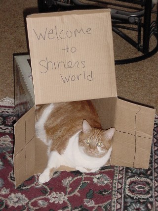 Shiner's World