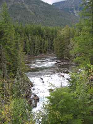Cascades in Glacier