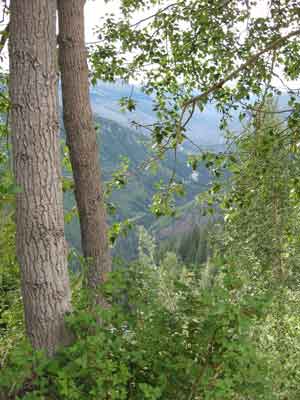 Glacier valley