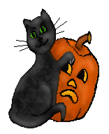 Halloween cat